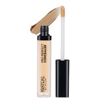 Perfect Concealer